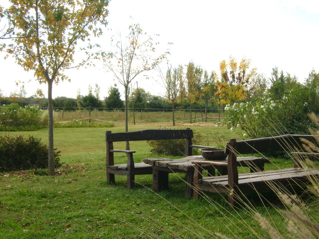 El Ranchito De Areco Villa San Antonio de Areco Eksteriør billede
