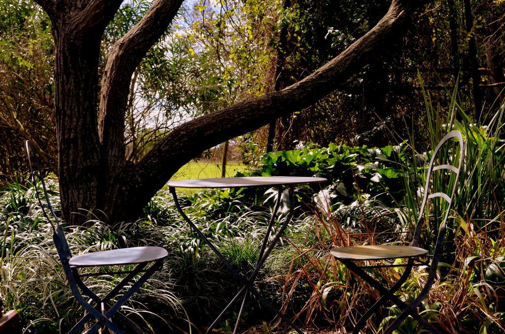 El Ranchito De Areco Villa San Antonio de Areco Eksteriør billede